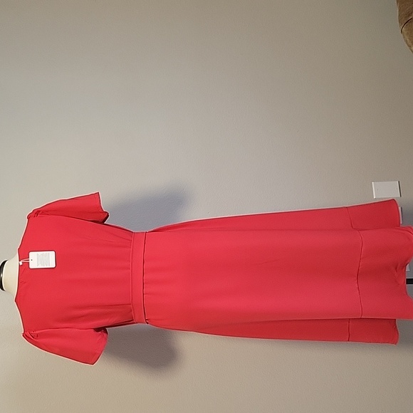 Luxveer Wrapstyle Ruffle Dress - Picture 4 of 5